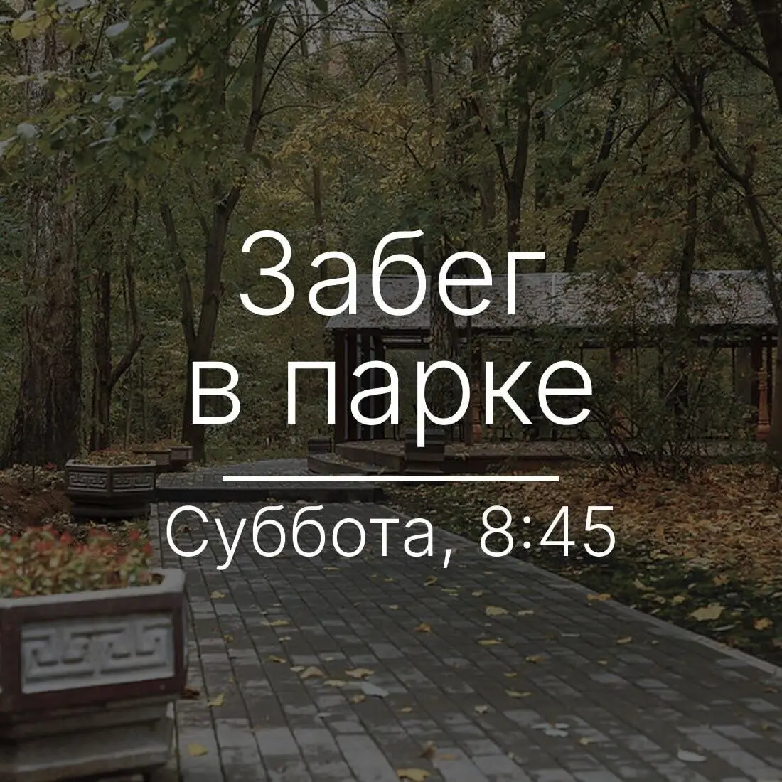 Забег по парку Фили