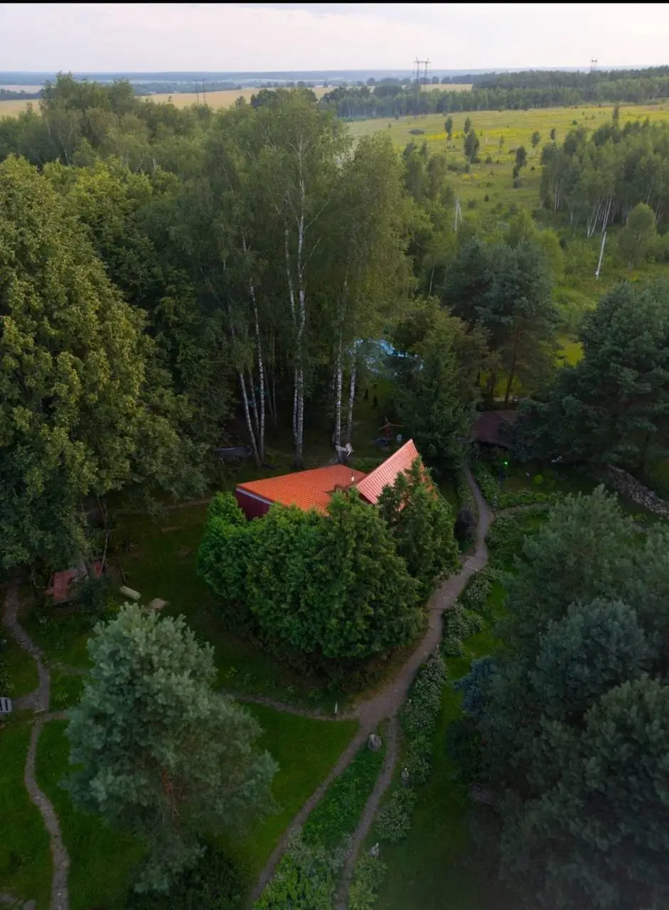 Новый Год в заснеженном лесу — пространство мечты