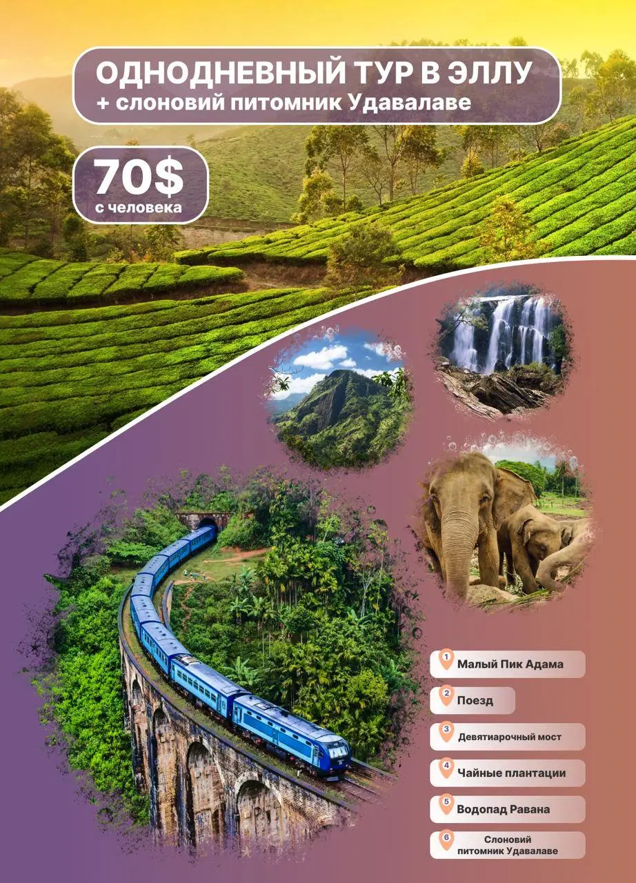 Top popular Sri Lanka excursions