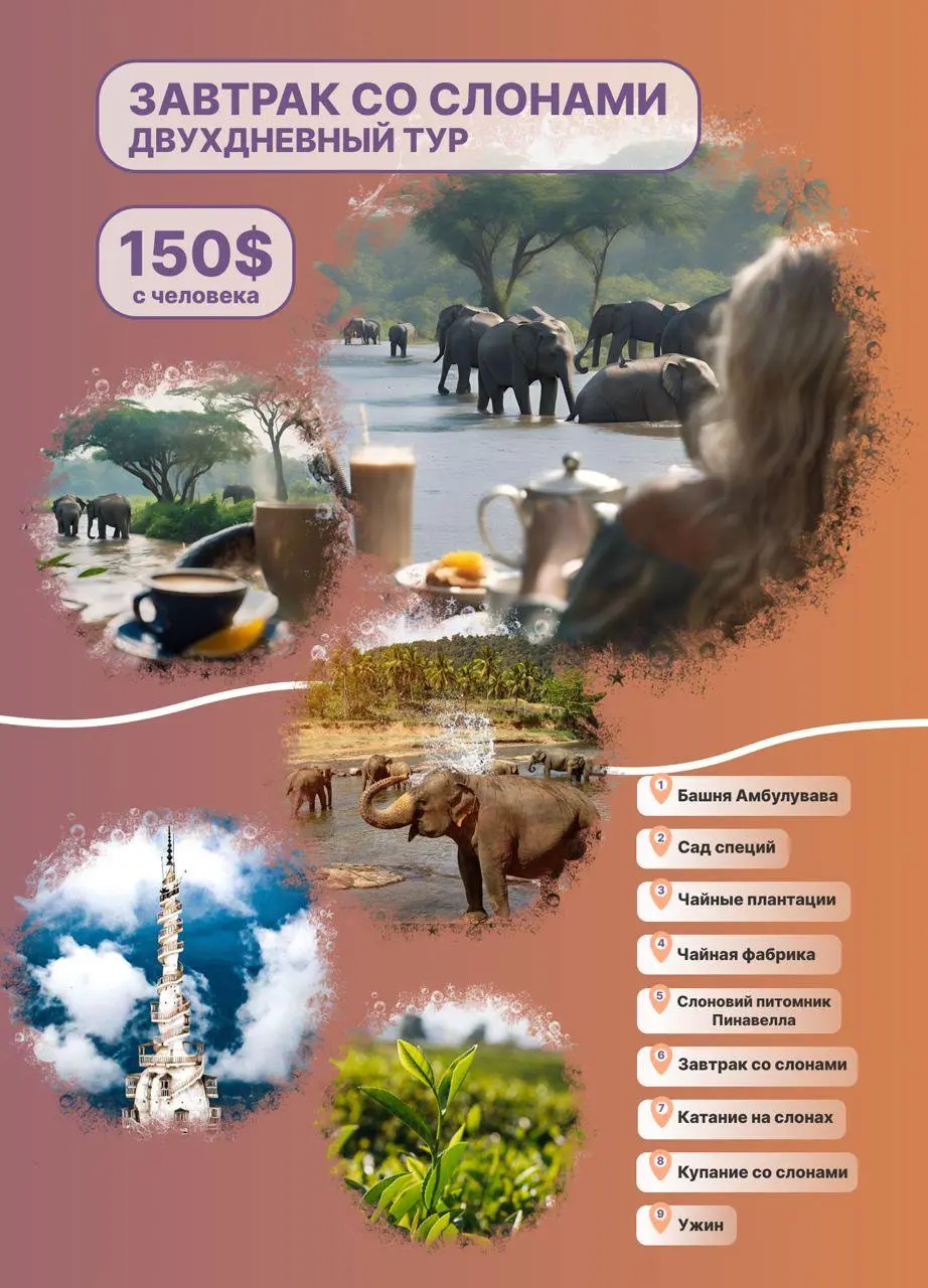 Top popular Sri Lanka excursions