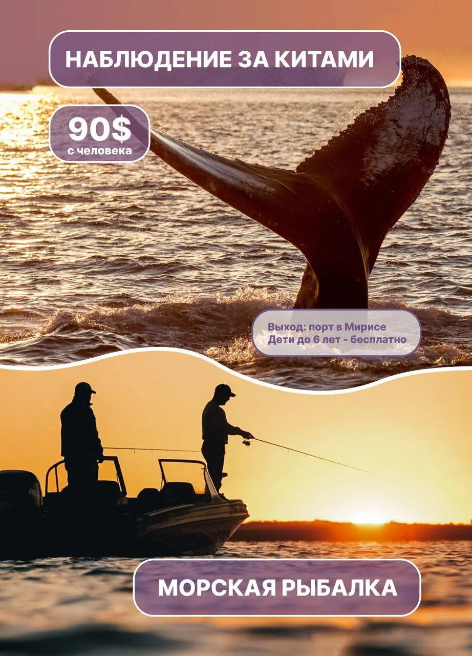 Top popular Sri Lanka excursions