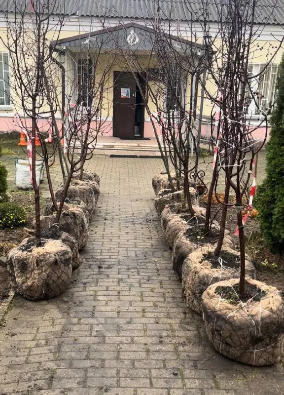 Приглашаем на субботник