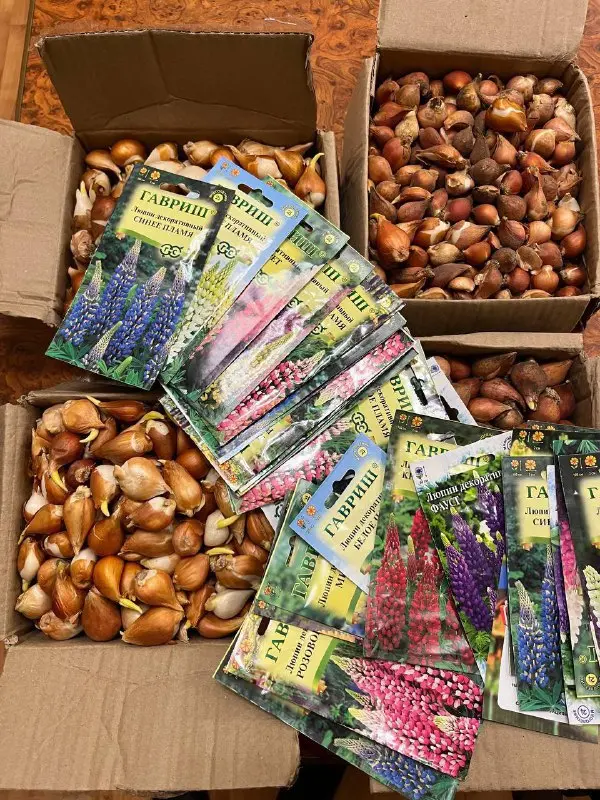 Приглашаем на субботник