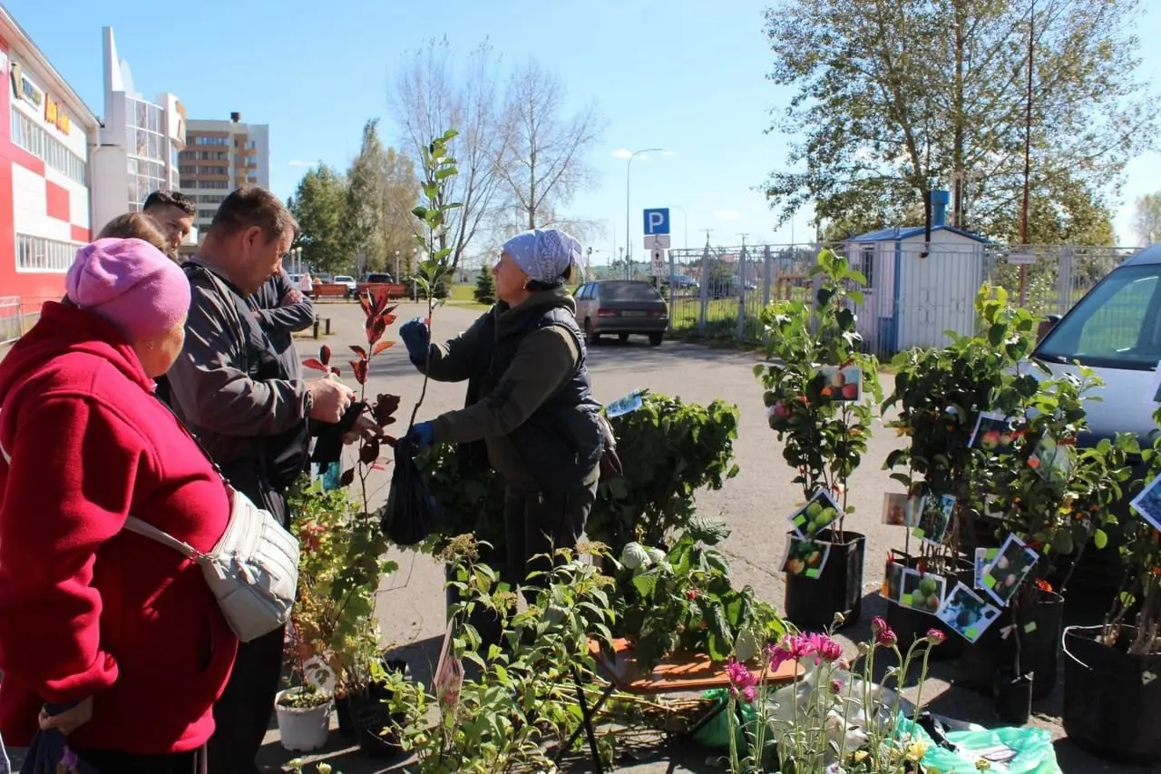 Сельхозярмарка, суббота