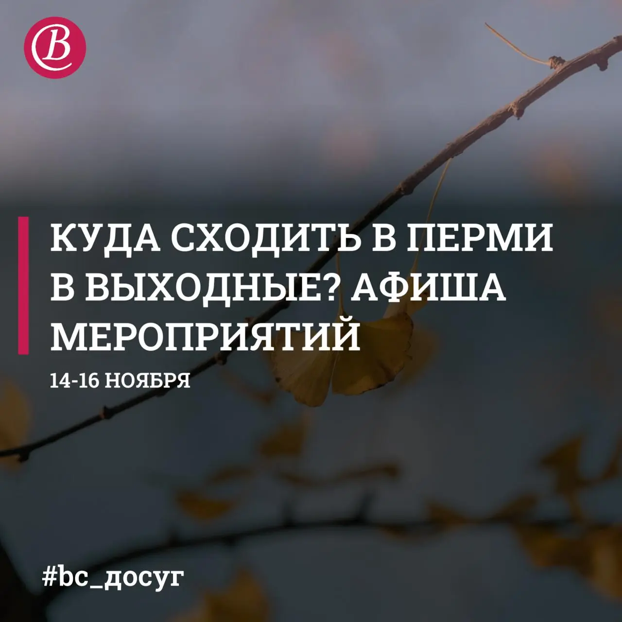 Фестиваль эстетики, фильмы про жителей Прикамья, КВН и концерты и открытый Кубок города Перми по КВН