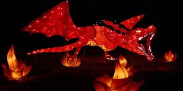 Королевство волшебных огней