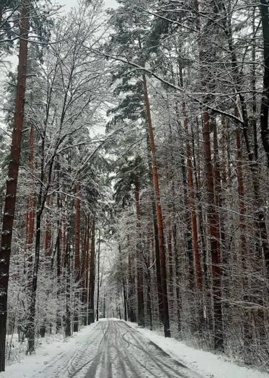 Воскресенье Ближне-мещерское колечко из Покрова в Войново