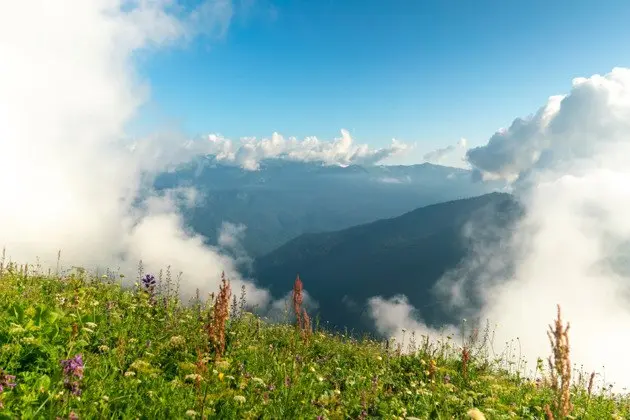 мероприятие, не указано конкретное название