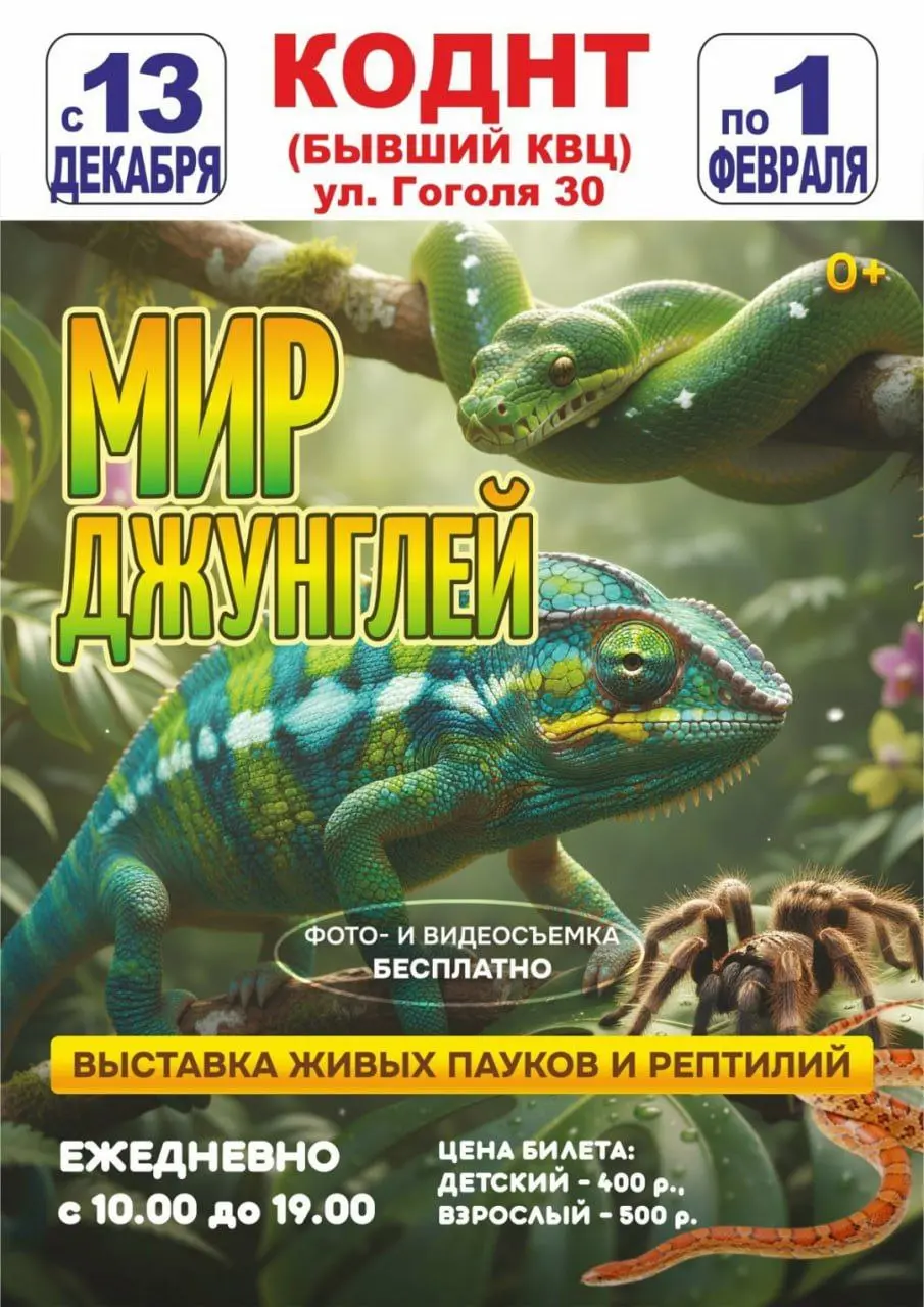 Выставка живых пауков и рептилий