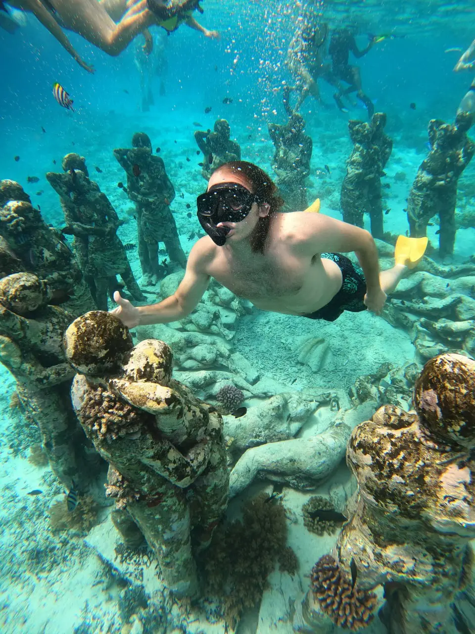 THE TRIP НА ГИЛИ