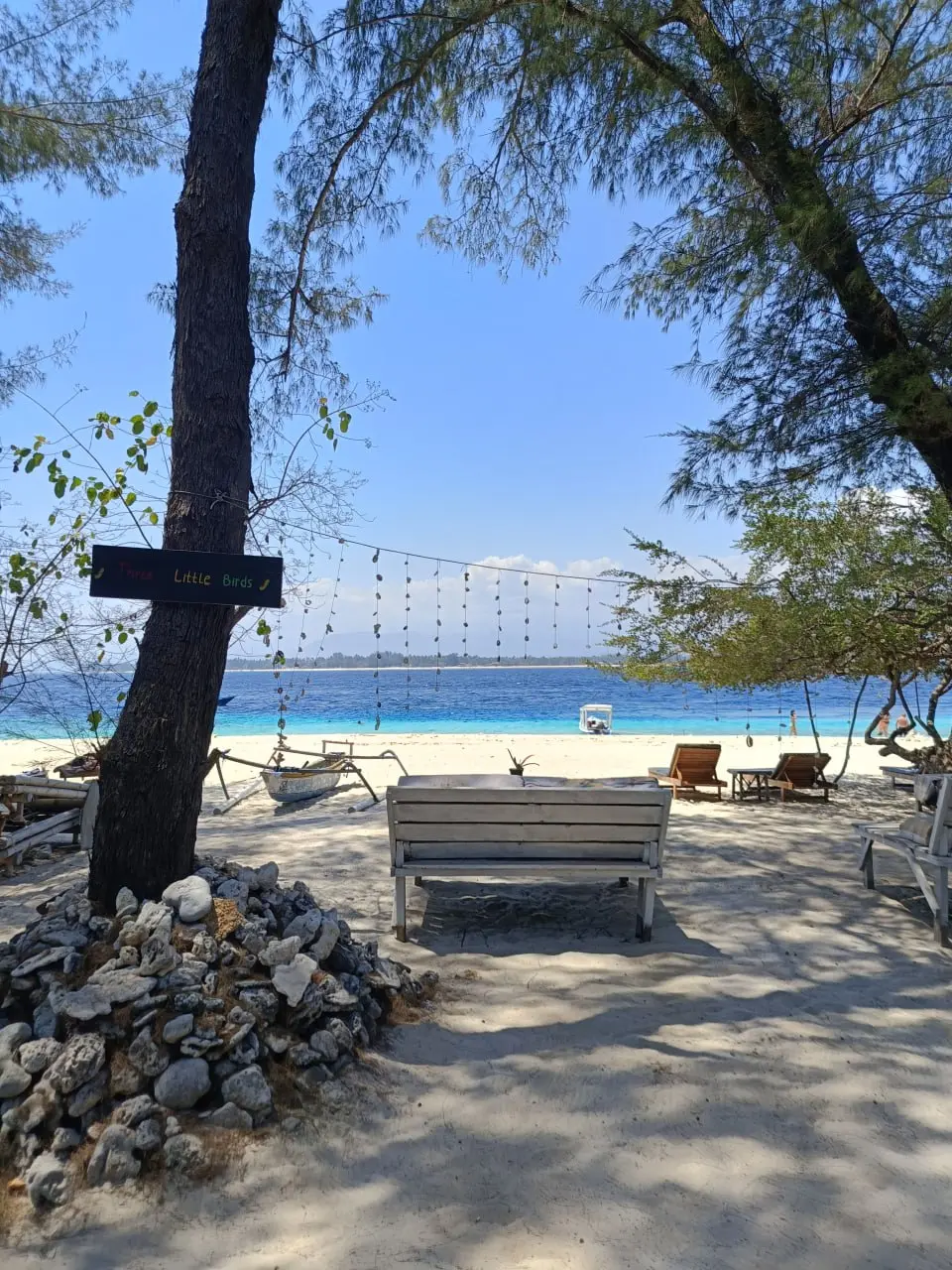 THE TRIP НА ГИЛИ