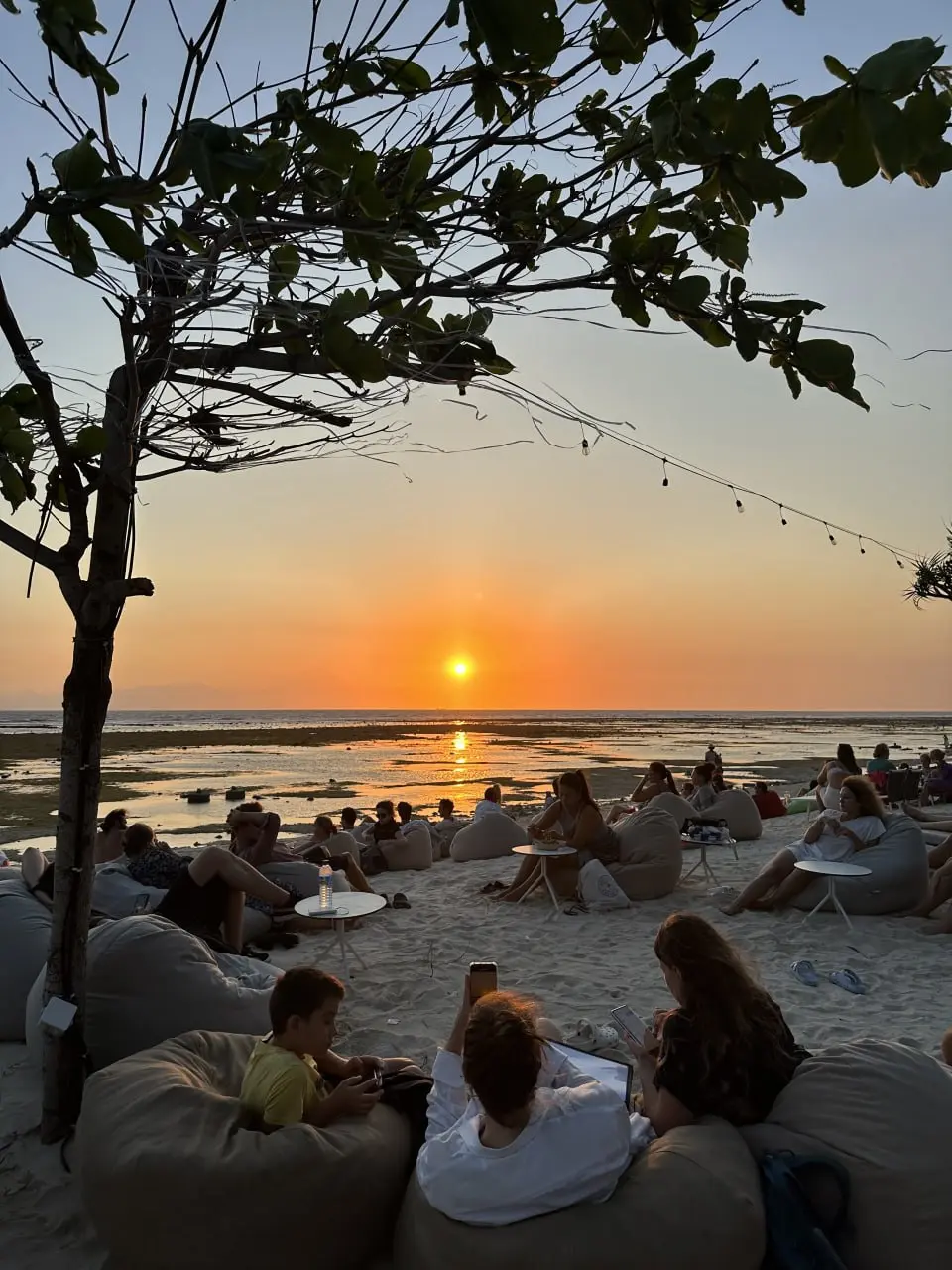 THE TRIP НА ГИЛИ