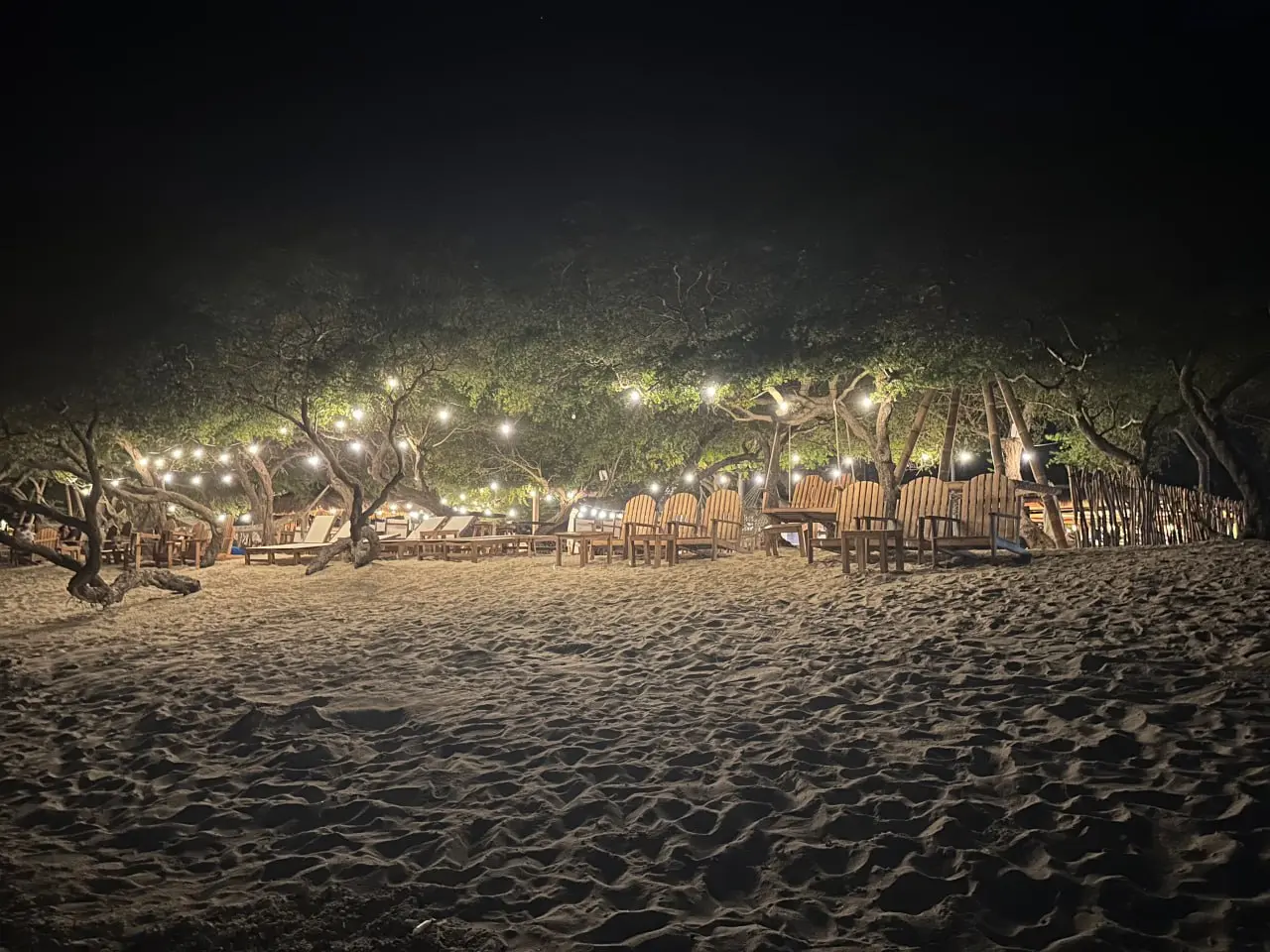 THE TRIP НА ГИЛИ