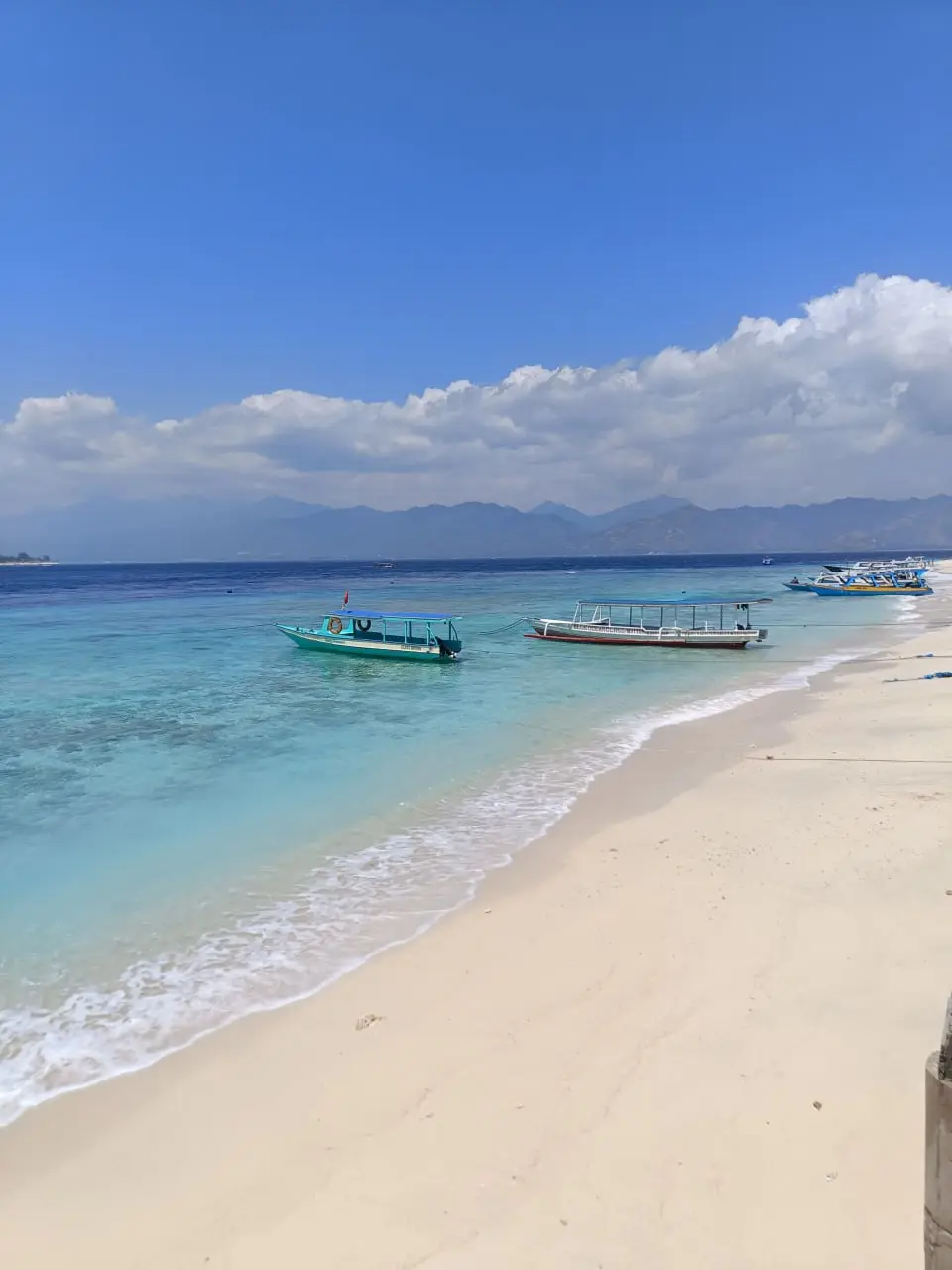 THE TRIP НА ГИЛИ