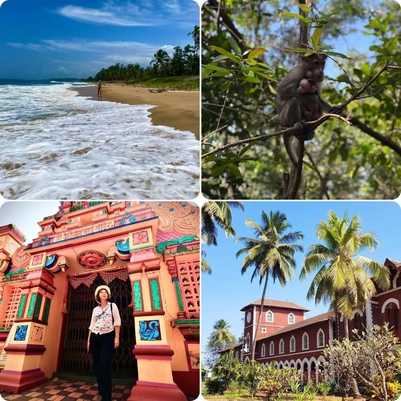 путешествие за 1 день