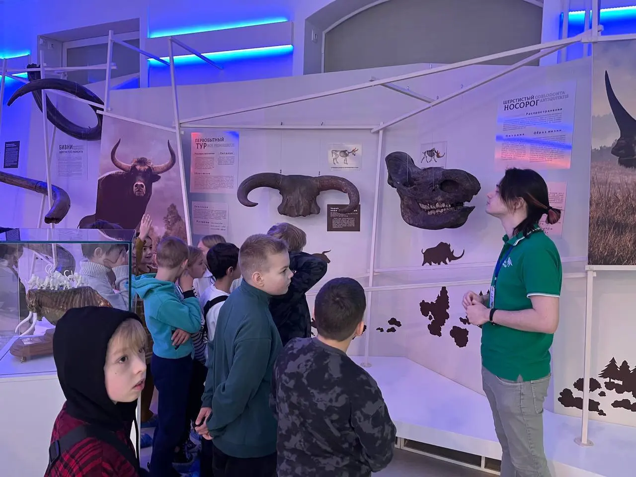 Земля мамонтов