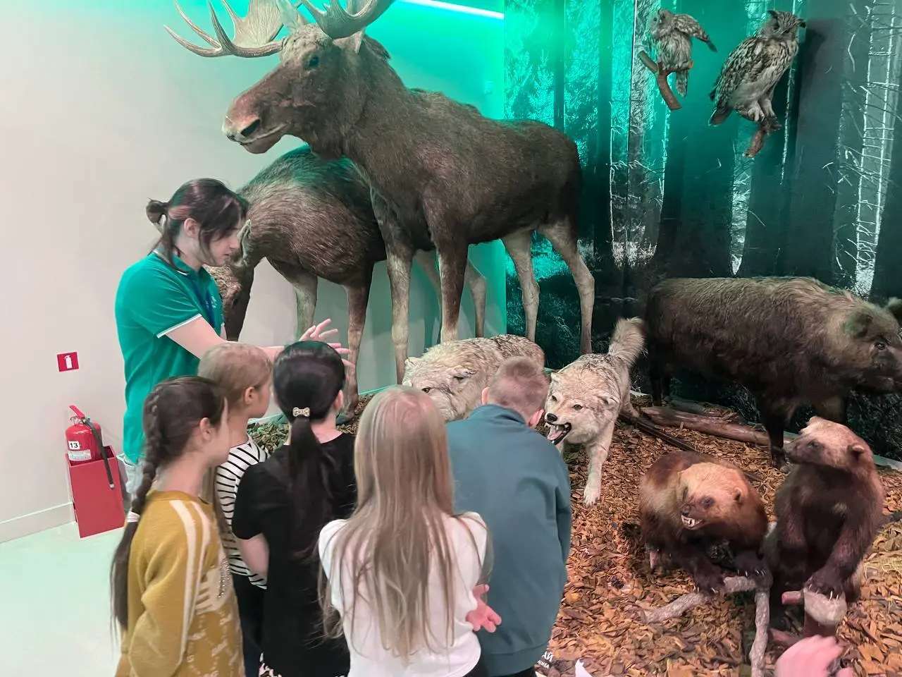 Земля мамонтов