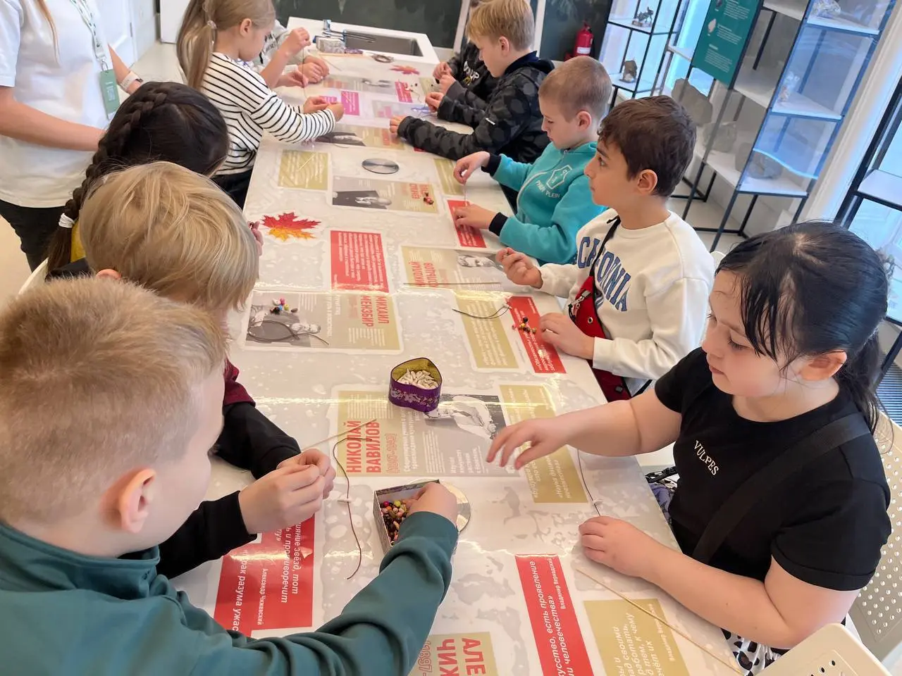 Земля мамонтов