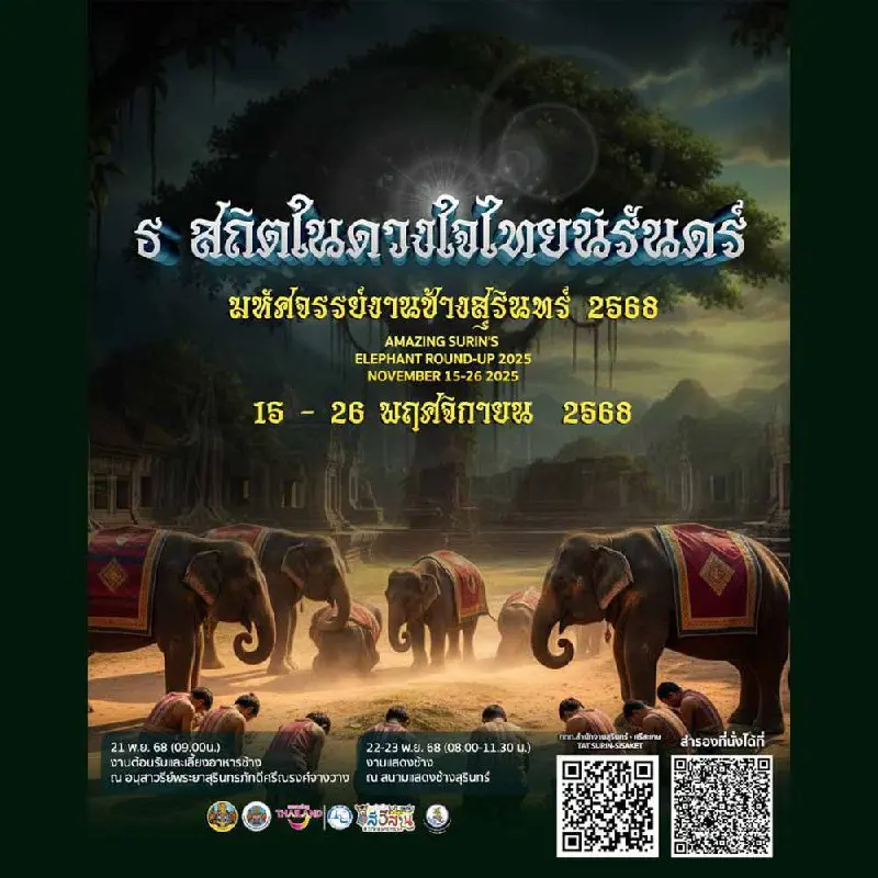 ФЕСТИВАЛЬ СЛОНОВ В СУРИНЕ 2025