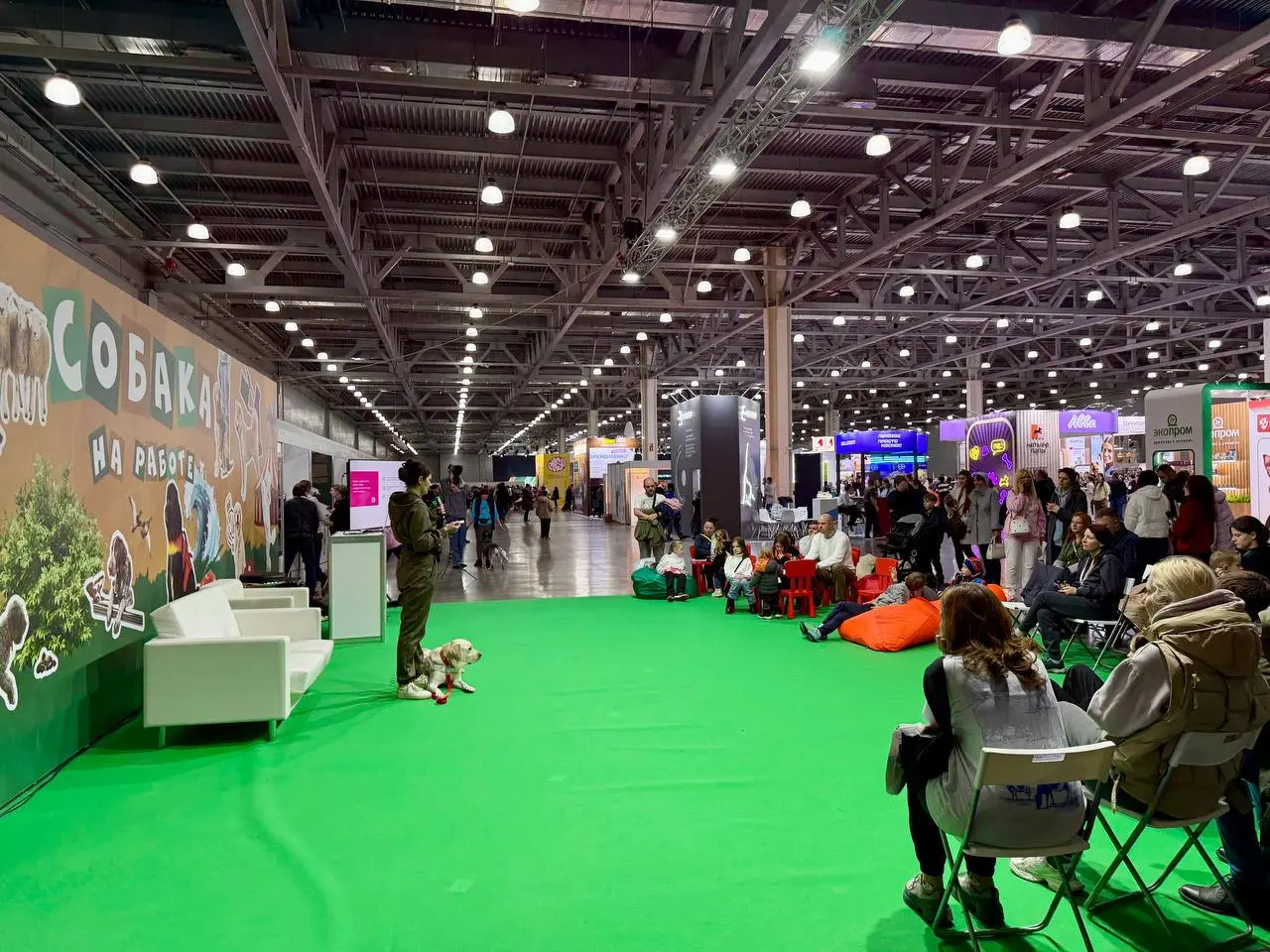 Евразия 2025 — выставка собак в Крокус Экспо