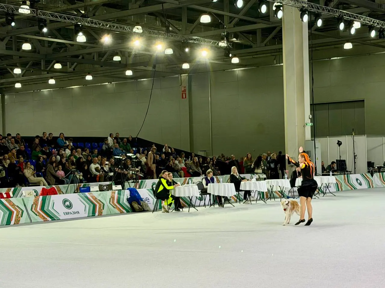 Евразия 2025 — выставка собак в Крокус Экспо