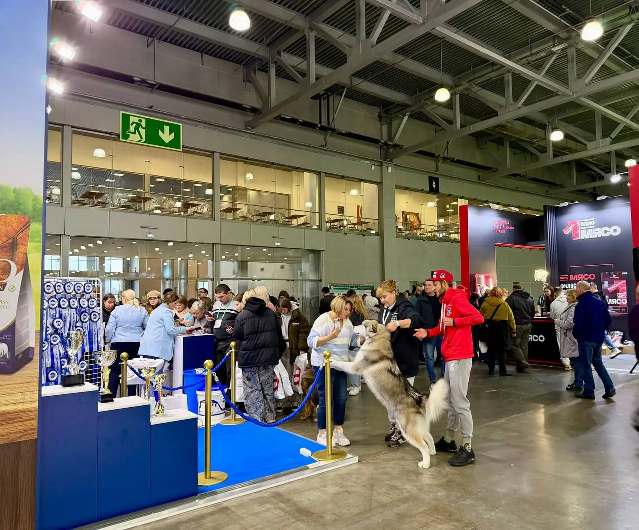 Евразия 2025 — выставка собак в Крокус Экспо