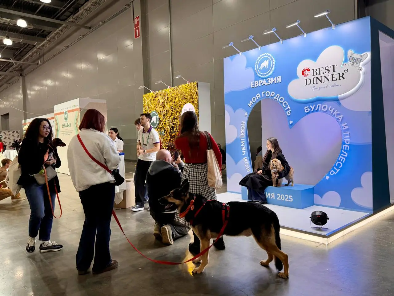 Евразия 2025 — выставка собак в Крокус Экспо
