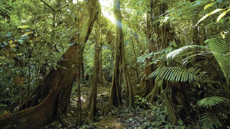 Долина затерянных городов