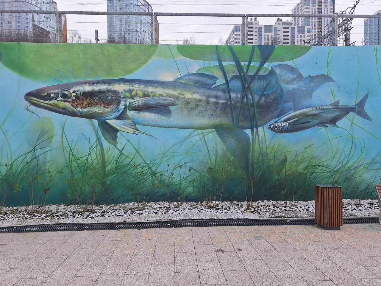 Рыбы на новой набережной в Перми