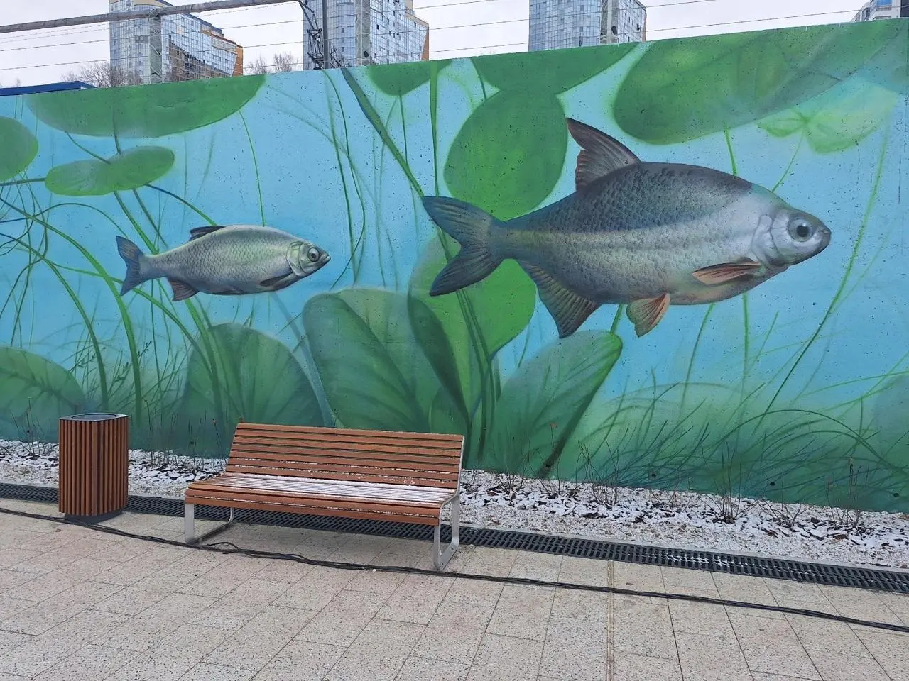 Рыбы на новой набережной в Перми