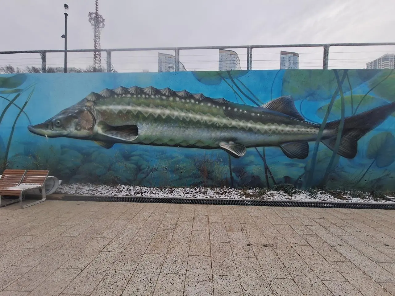 Рыбы на новой набережной в Перми