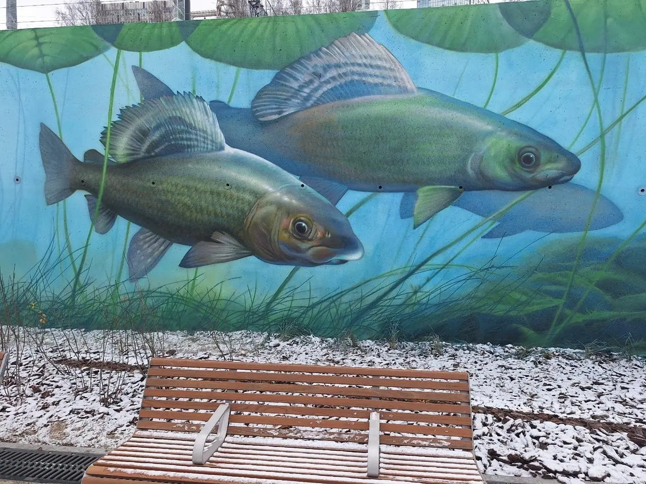 Рыбы на новой набережной в Перми