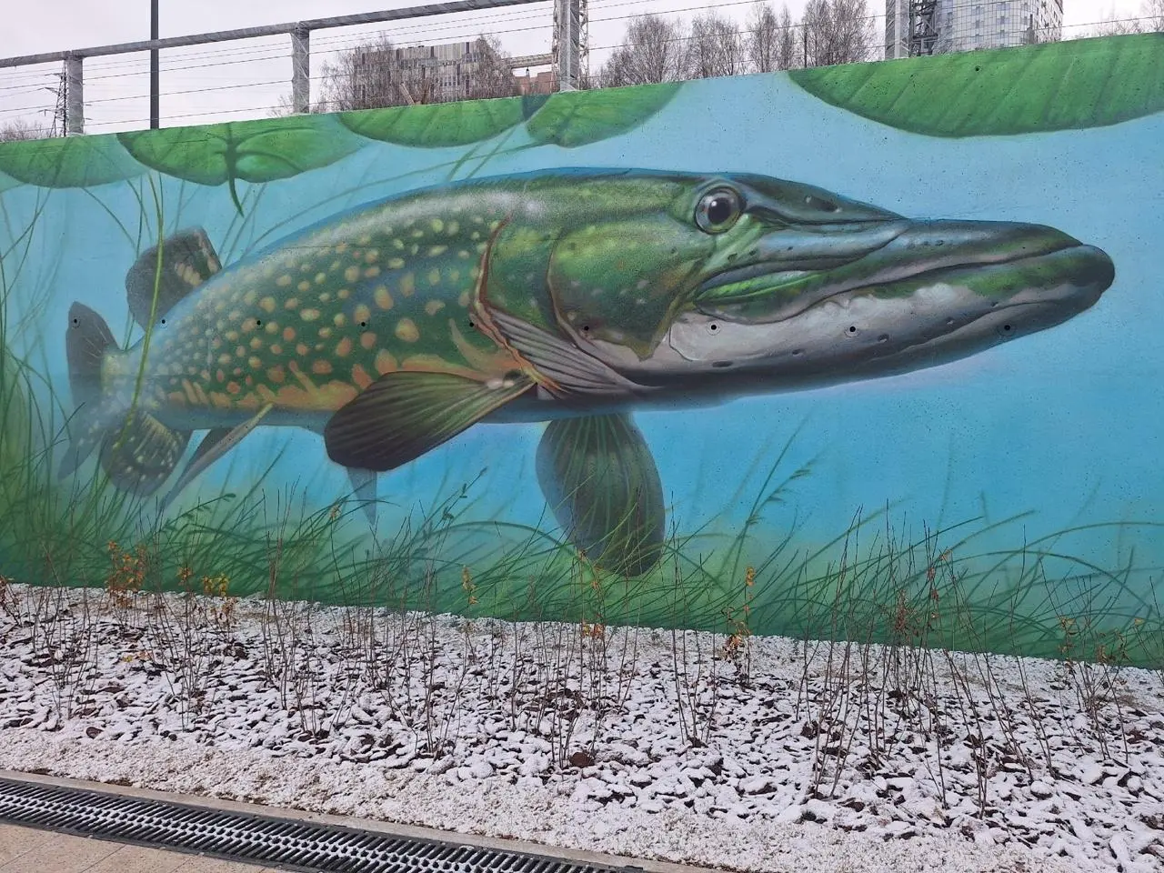 Рыбы на новой набережной в Перми