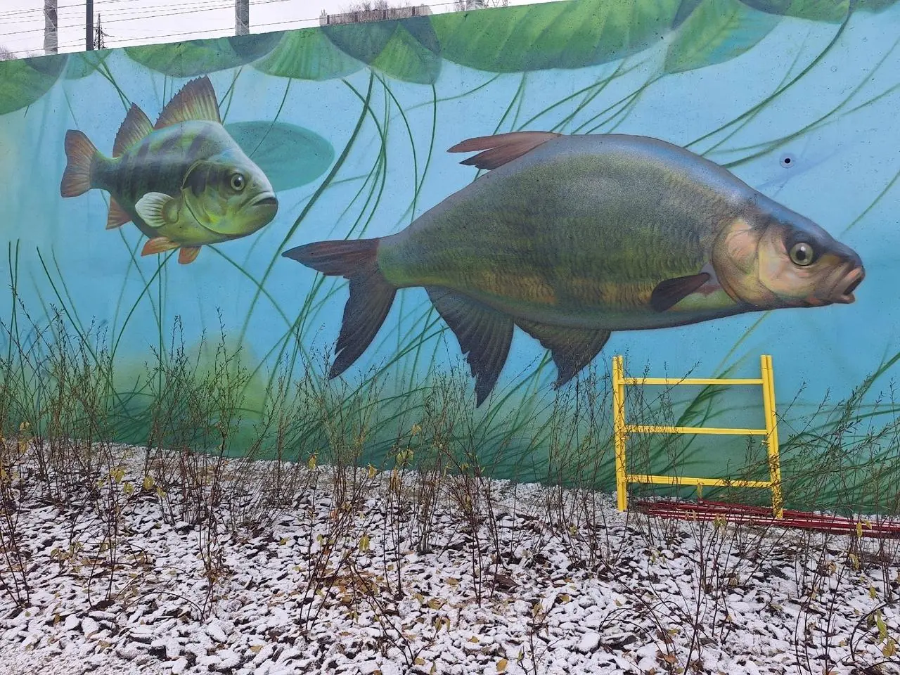 Рыбы на новой набережной в Перми