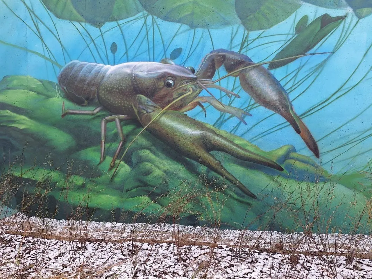 Рыбы на новой набережной в Перми