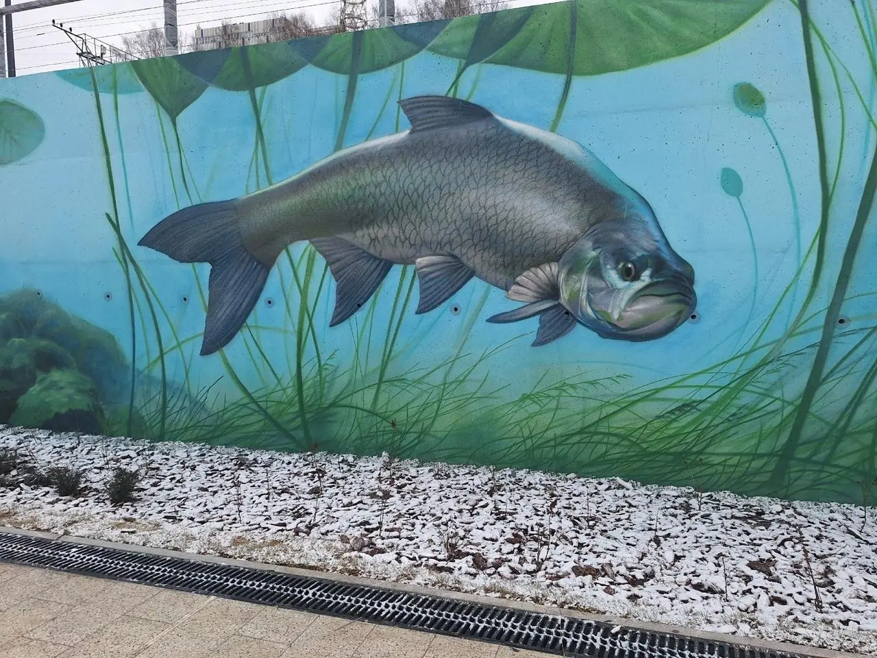 Рыбы на новой набережной в Перми
