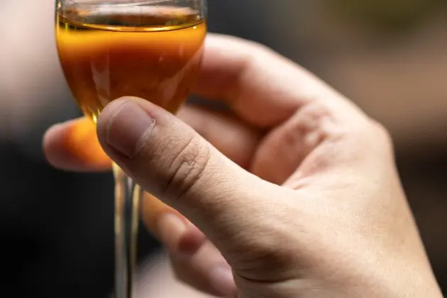 Казань дурманящая: обзорная экскурсия с посещением питейного дома