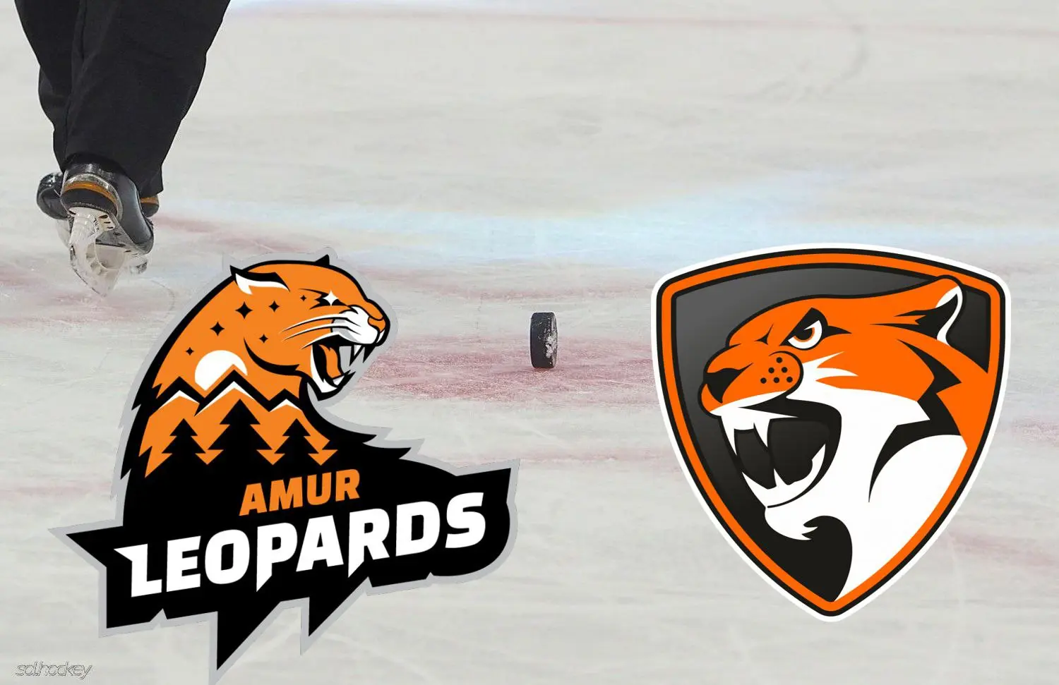 Кошачье дерби