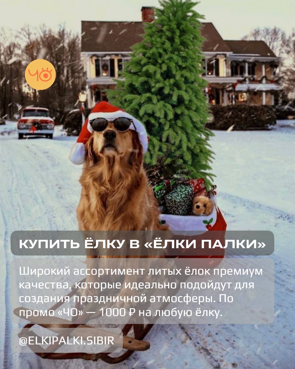 Чо делать в Томске?