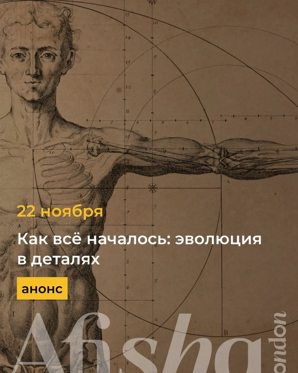 Музейный Кот приглашает юных исследователей на новое приключение: Как всё началось: эволюция в деталях