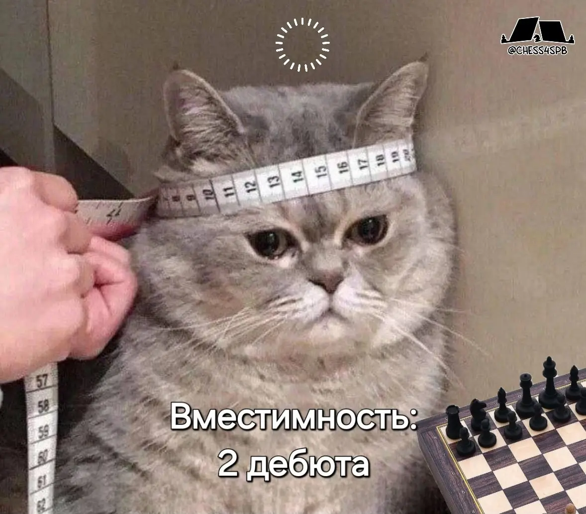 Питерский Мат: обучение в шахматном клубе