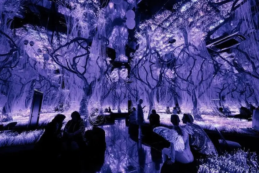 фиджитал-пространство в Петербурге