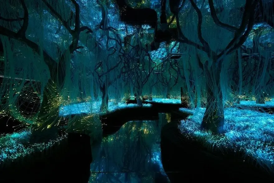 фиджитал-пространство в Петербурге