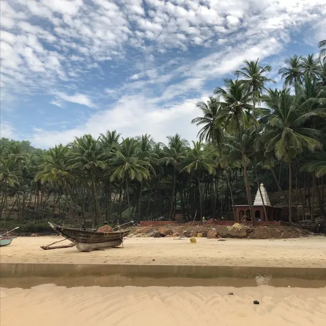 Mosaic of Goa Nightlife (16 ноября 2025)