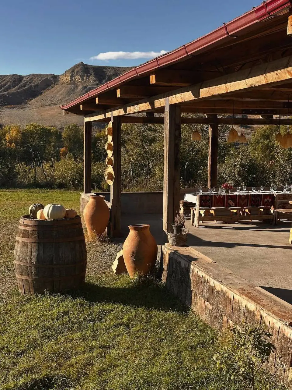 Грузия. Винный тур. В гости к виноделам!