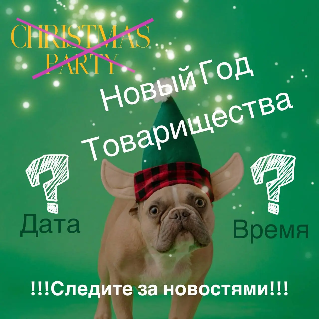 НОВЫЙ ГОД В ТОВАРИЩЕСТВЕ