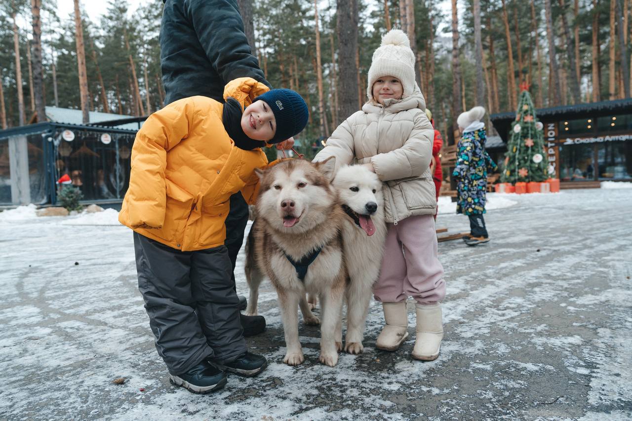 Новый год в парк-отеле «Сказка Алтая»