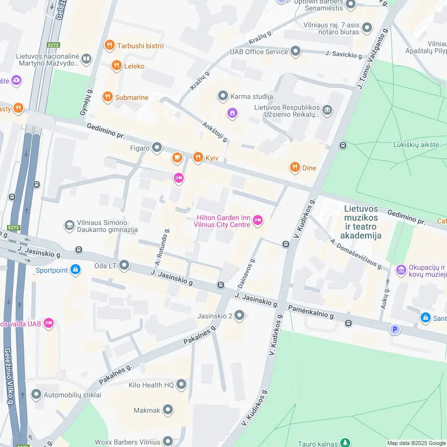 Состоится торжественный концерт в честь 80-летия кафедры народных инструментов Литовской академии музыки и театра