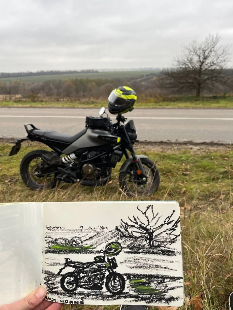 Персональная выставка Ольги Сенюковой