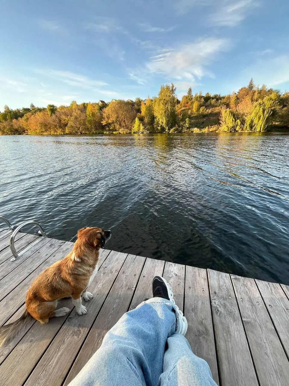 Персональная выставка Ольги Сенюковой